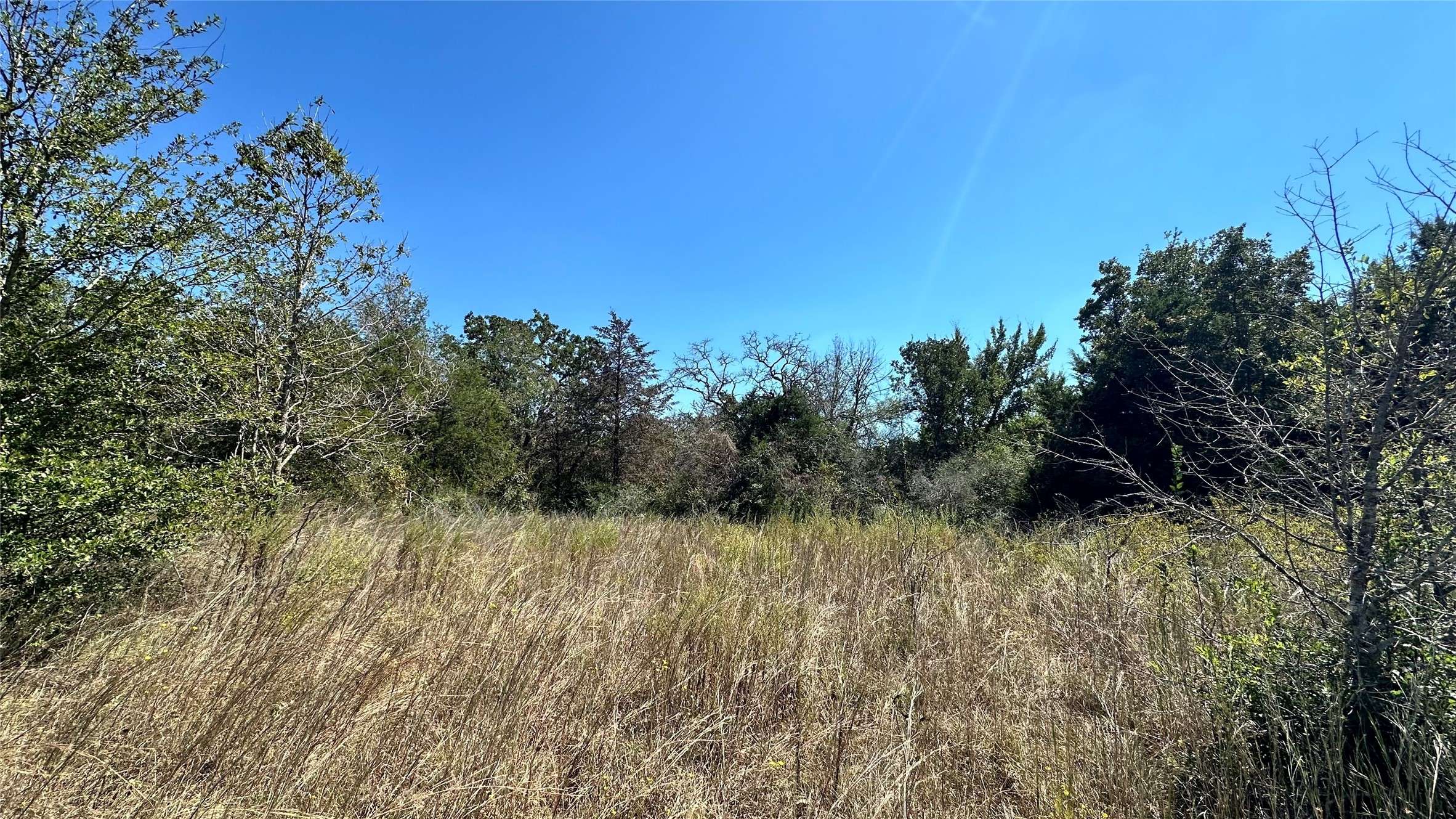 402 Professor Smith, Gause, TX 77857