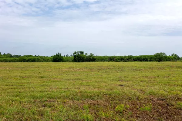 Plantersville, TX 77363,TBD CR 207A
