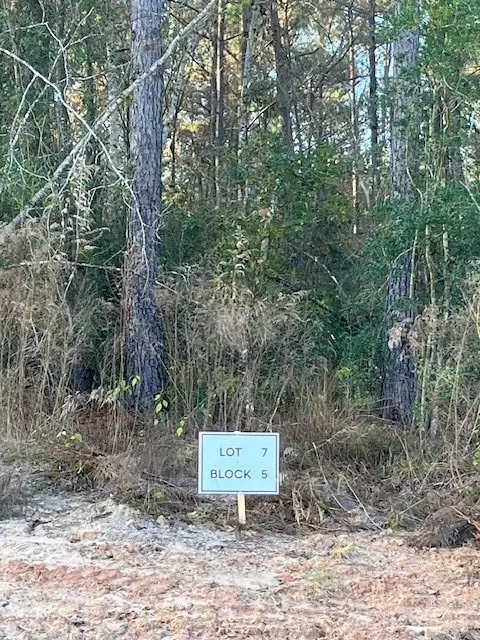 New Waverly, TX 77358,157 Rustic Ranch DR