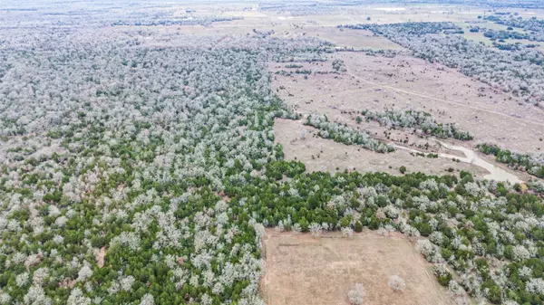 Flatonia, TX 78941,0000 Brown RD