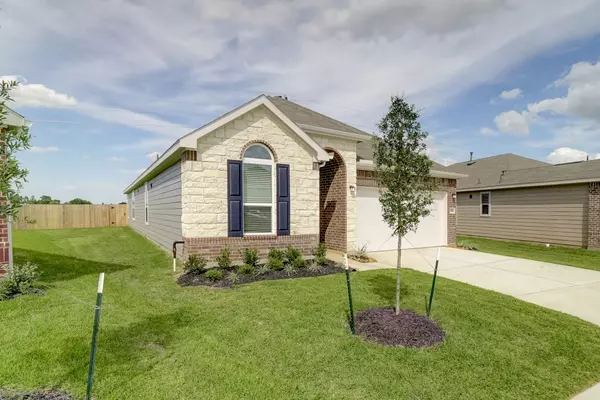Fresno, TX 77545,2003 Domeniko DR
