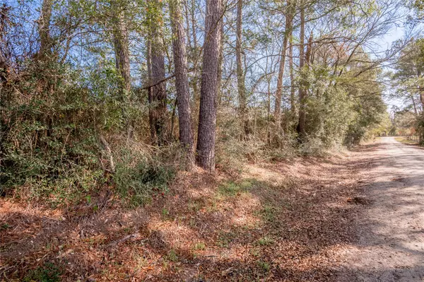 Groveton, TX 75845,262 Bill Jones RD