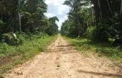 99999,5,243 Acres - Rancho Dolores Village - Belize