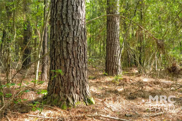 Kennard, TX 75847,00 County Road 4690