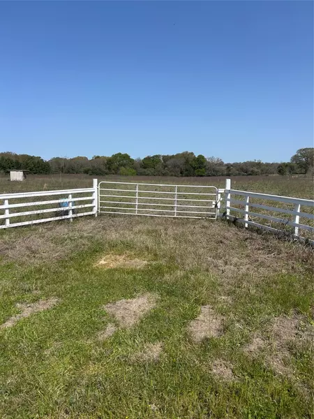 23060 Mack Washington LN, Hempstead, TX 77445