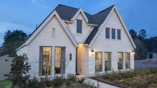 103 Harlequin Duck CT, Magnolia, TX 77354
