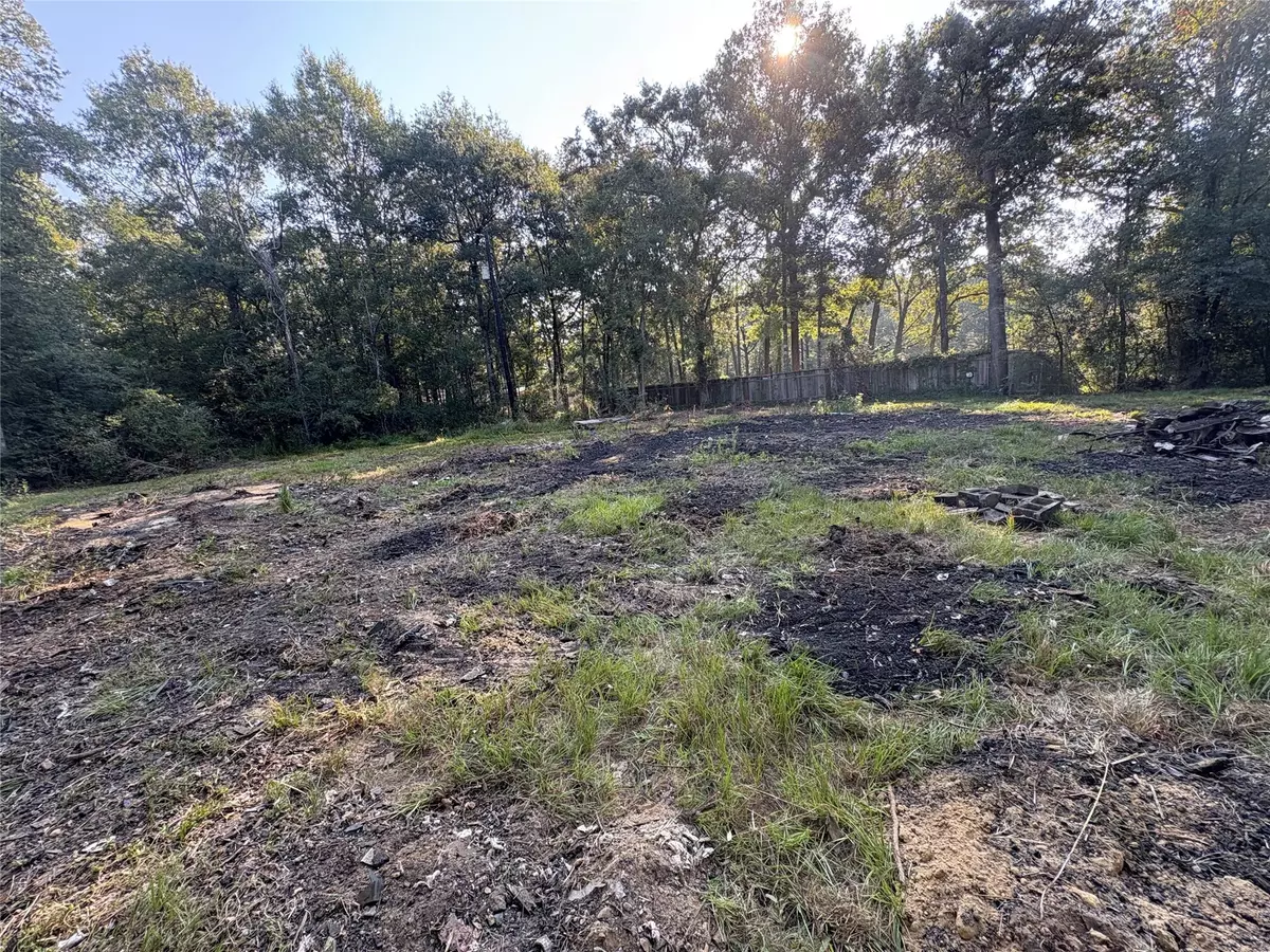 Livingston, TX 77351,303 Raven