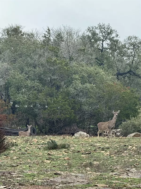 Spring Branch, TX 78070,5070 Spring Branch RD