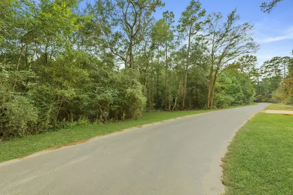 Plantersville, TX 77363,0 County Road 201 LOOP