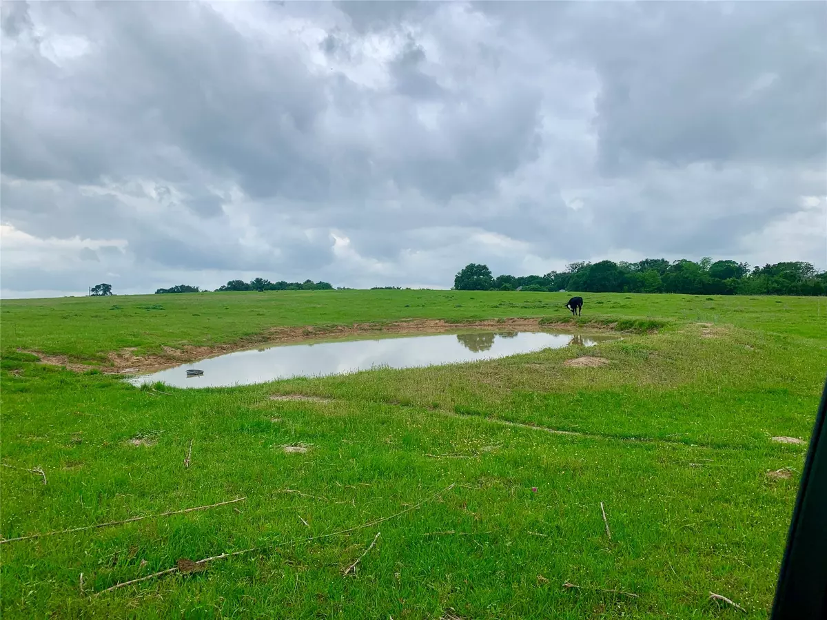 Brenham, TX 77833,TBD Shelby Road