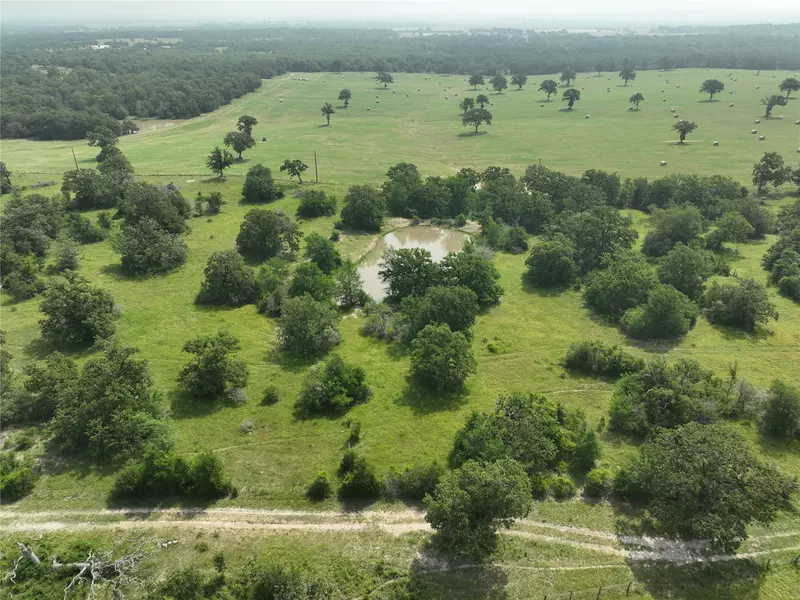 TBD County Road 446 LN, Snook, TX 77878
