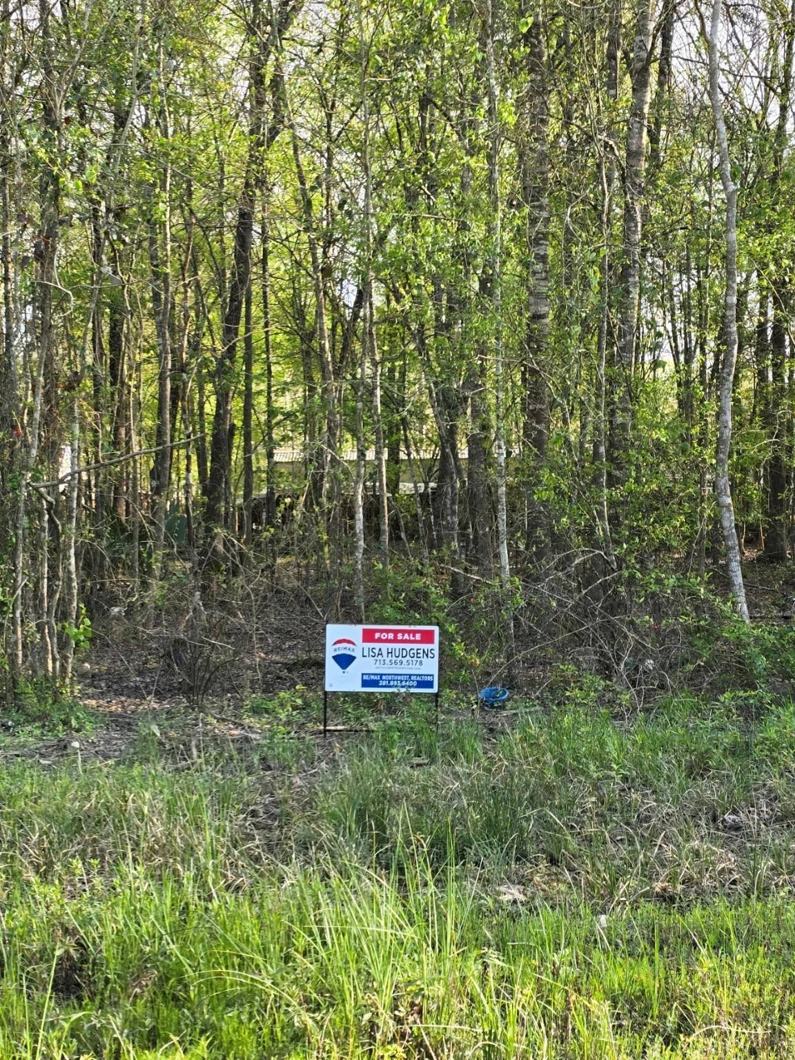 New Caney, TX 77357,25940 Essex