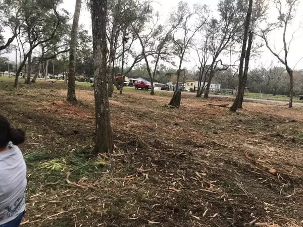 Brazoria, TX 77422,0 County Road 495