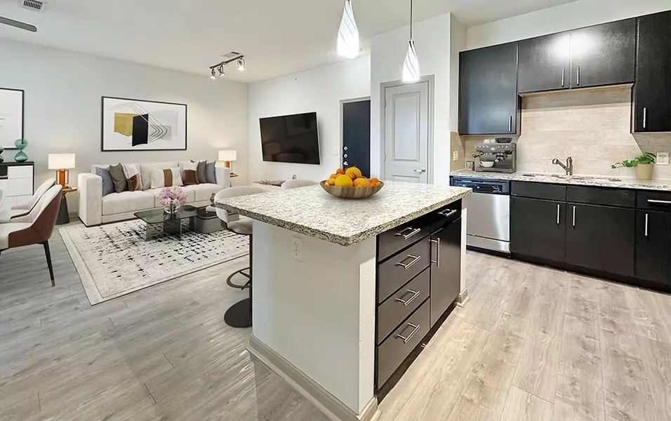2700 Brazos ST #4224, Houston, TX 77006