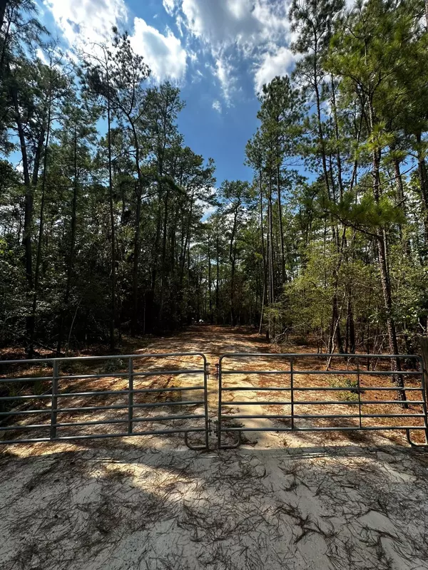 Magnolia, TX 77354,30903 Carrington DR