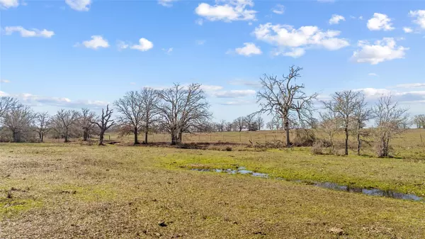 Giddings, TX 78942,TBD (Tract 2) County Road 110