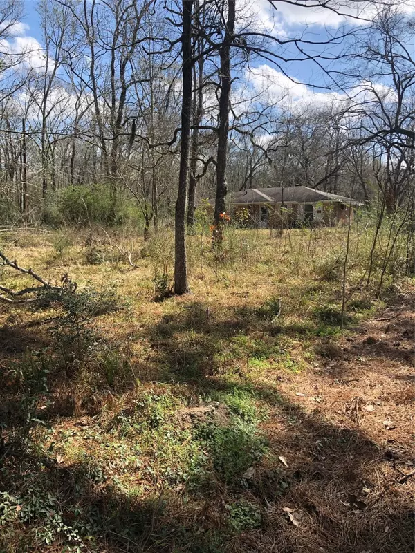 Conroe, TX 77302,13284 Calhoun RD