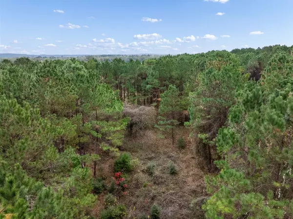 Elkhart, TX 75839,TBD FM 322