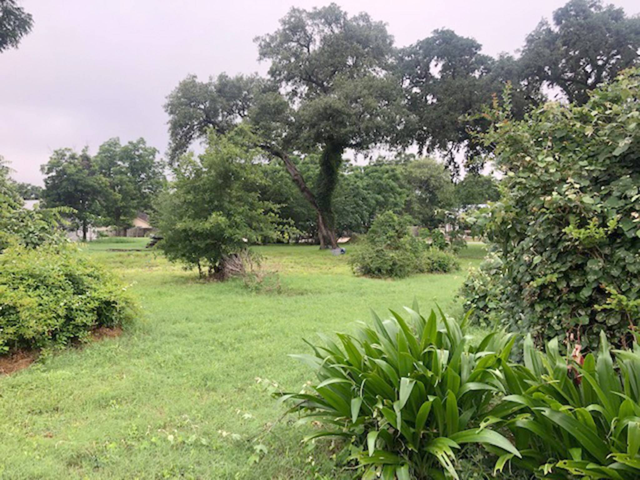 443 N Washington ST, La Grange, TX 78945