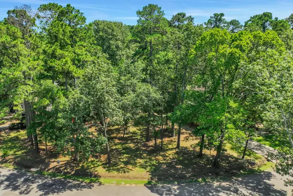 90 N Royale Greens DR, Coldspring, TX 77331