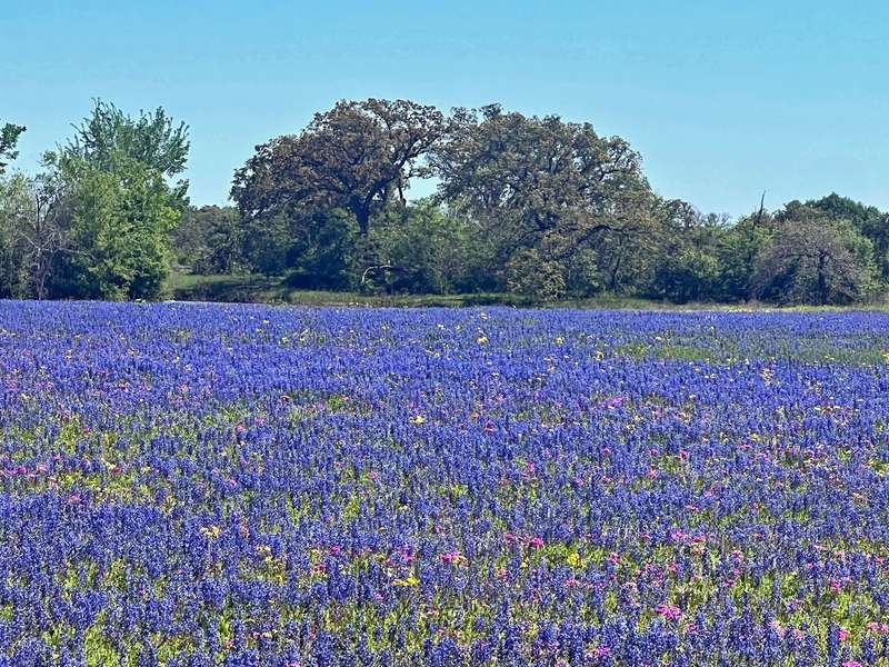 10698 FM 1227, Navasota, TX 77868
