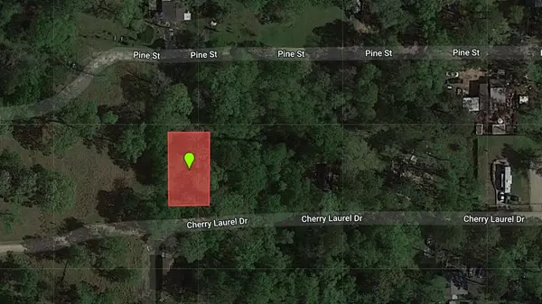 Huffman, TX 77336,92 Cherry Laurel ST