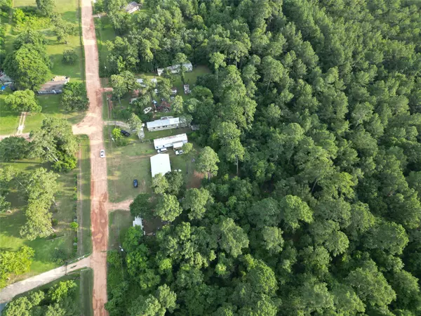Plantersville, TX 77363,17306 Brittany LN