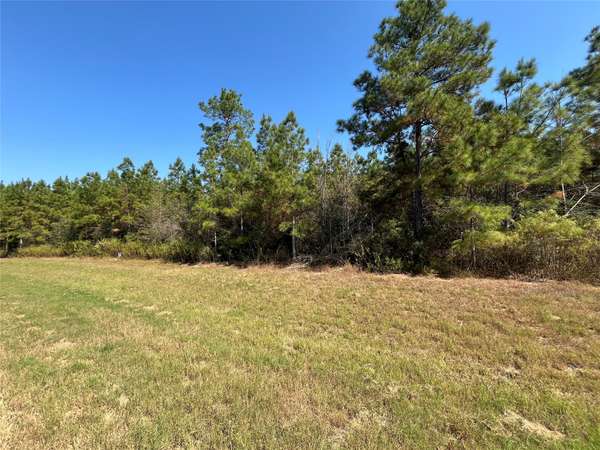 Willis, TX 77378,11723 Grand North RD