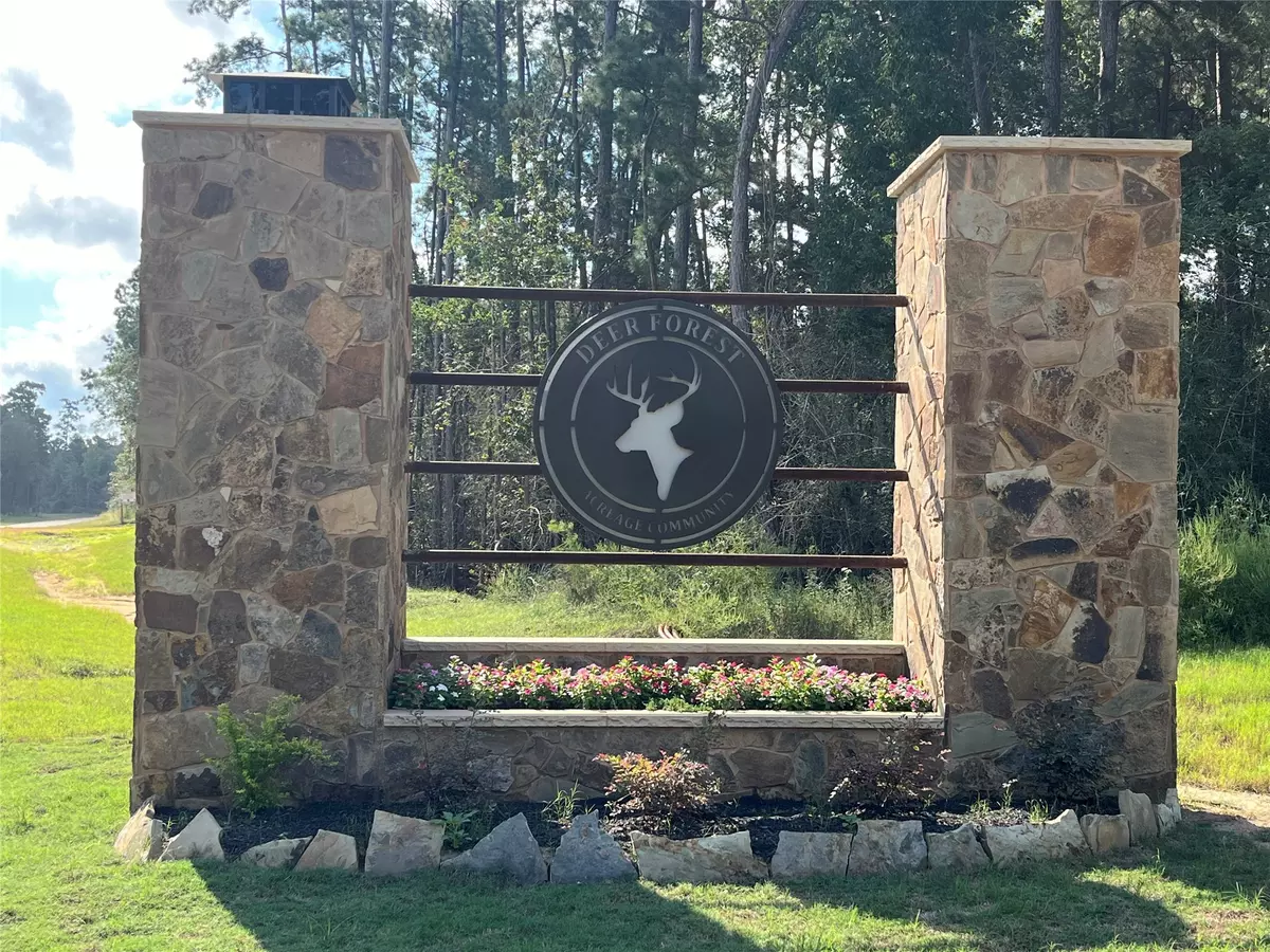 Willis, TX 77378,11723 Grand North RD