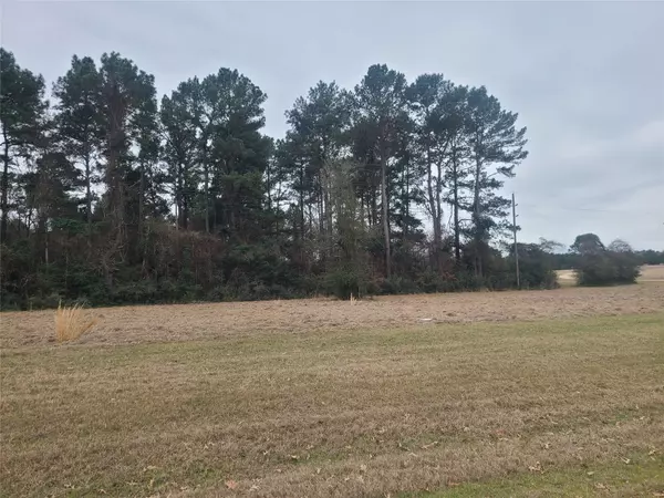 Lot 8 JAMESTOWN RD, Trinity, TX 75862