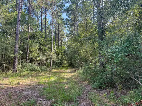 Groveton, TX 75845,TBD Joe Hudson RD