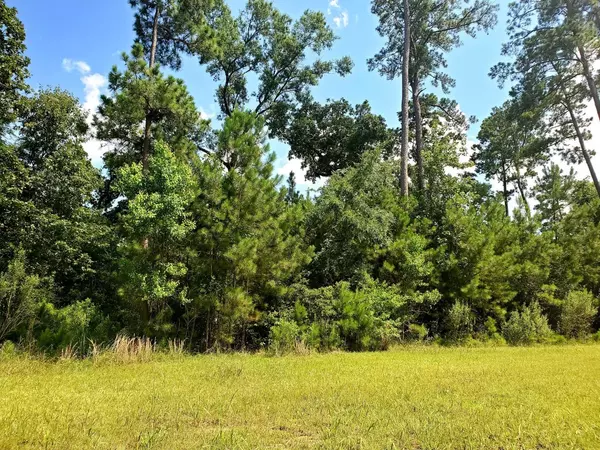 Humble, TX 77346,105 Kings Lake Estates BLVD