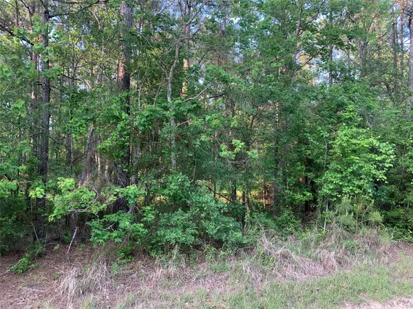 Wallisville, TX 77575,000 Turtle RD