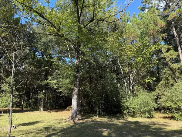 Hockley, TX 77447,0 Willow Creek
