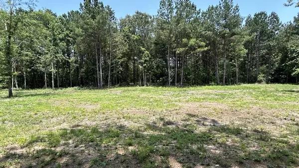 0 Pleasant DR, Coldspring, TX 77331