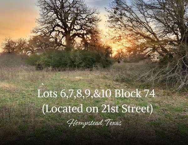 Lots 6, 7, 8, 9, 10 Block 74 LOCATED on 21st Street, Hempstead, TX 77445