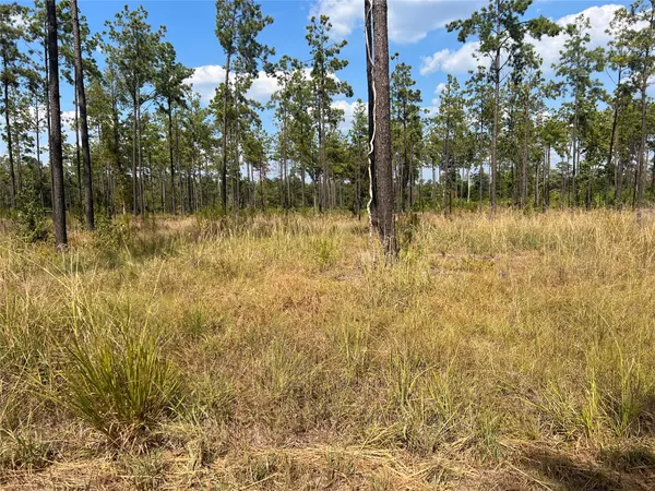 Brookeland, TX 75931,TBD Private Road 6026
