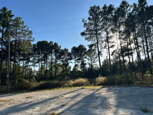 Lovelady, TX 77854,Tract 12A F M 230