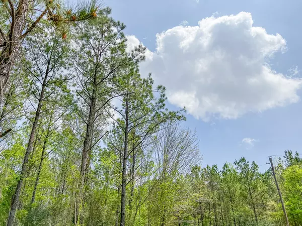 Chester, TX 75936,0000000000000 Morrell RD