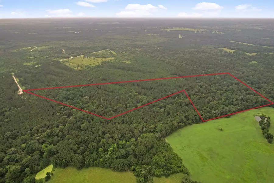 Tract 12 FM 230, Lovelady, TX 77854