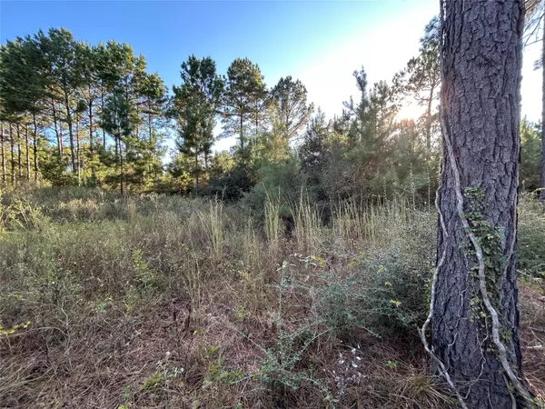 Lovelady, TX 77854,Tract 12 FM 230