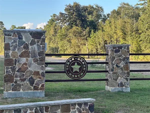 428 Sundog RD, Huntsville, TX 77340