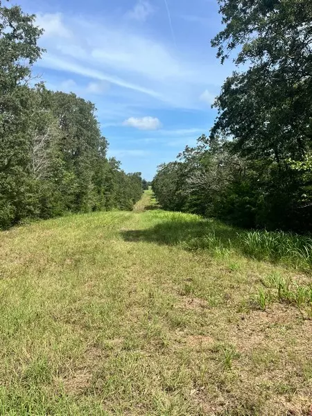 TBD E Pr 1100,  Leona,  TX 75850