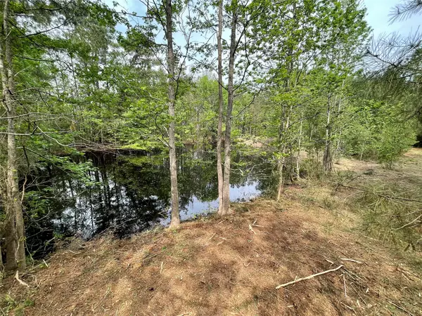 Woodlake, TX 75865,0000 Bill Rasbeary Rd