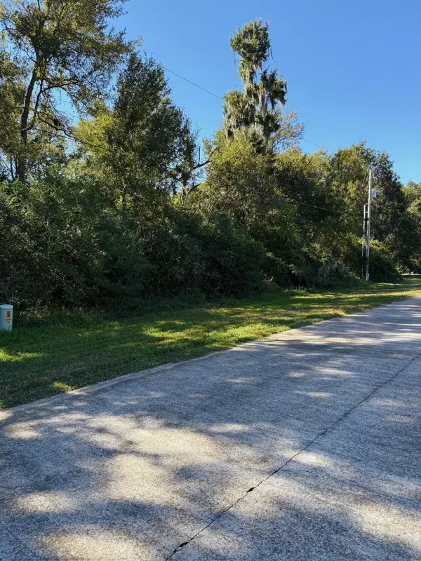 Angleton, TX 77515,537 Cabana TRL