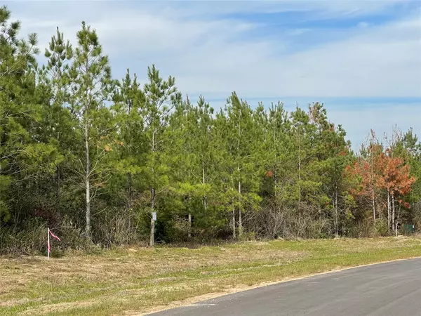 Willis, TX 77378,15705 Ridge Rock RD