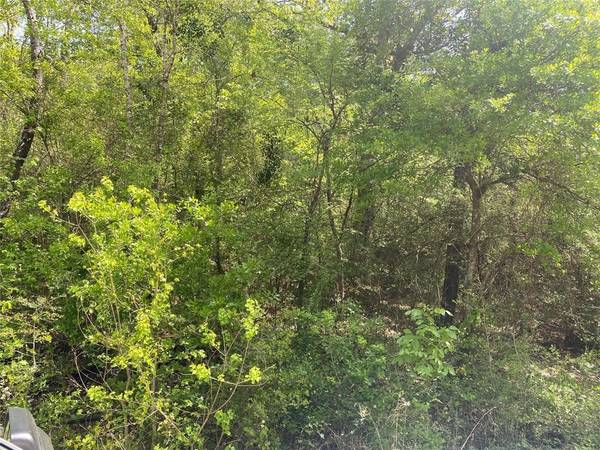 00 Hollybrook DR, Plantersville, TX 77363