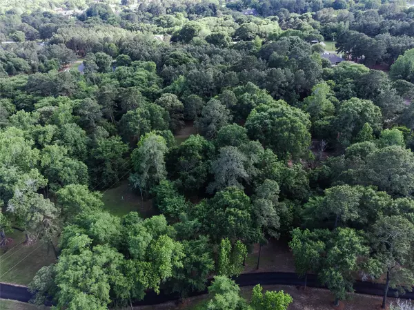 Willis, TX 77318,00 Hillside LN