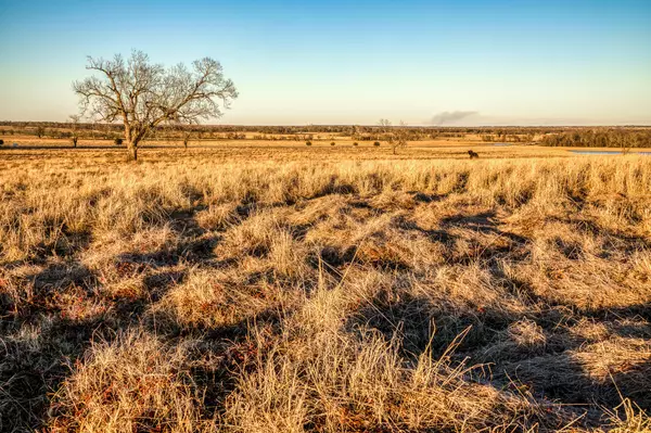 Washington, TX 77880,000 Flat Prairie Road