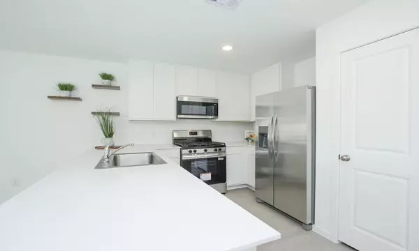 Katy, TX 77493,6819 Flowering Ginger LN